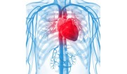 Diseases of the heart, blood vessels, blood