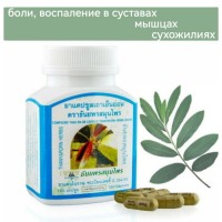 Капсулы от боли в суставах, мышцах, Тао-эн-он, 100 шт.